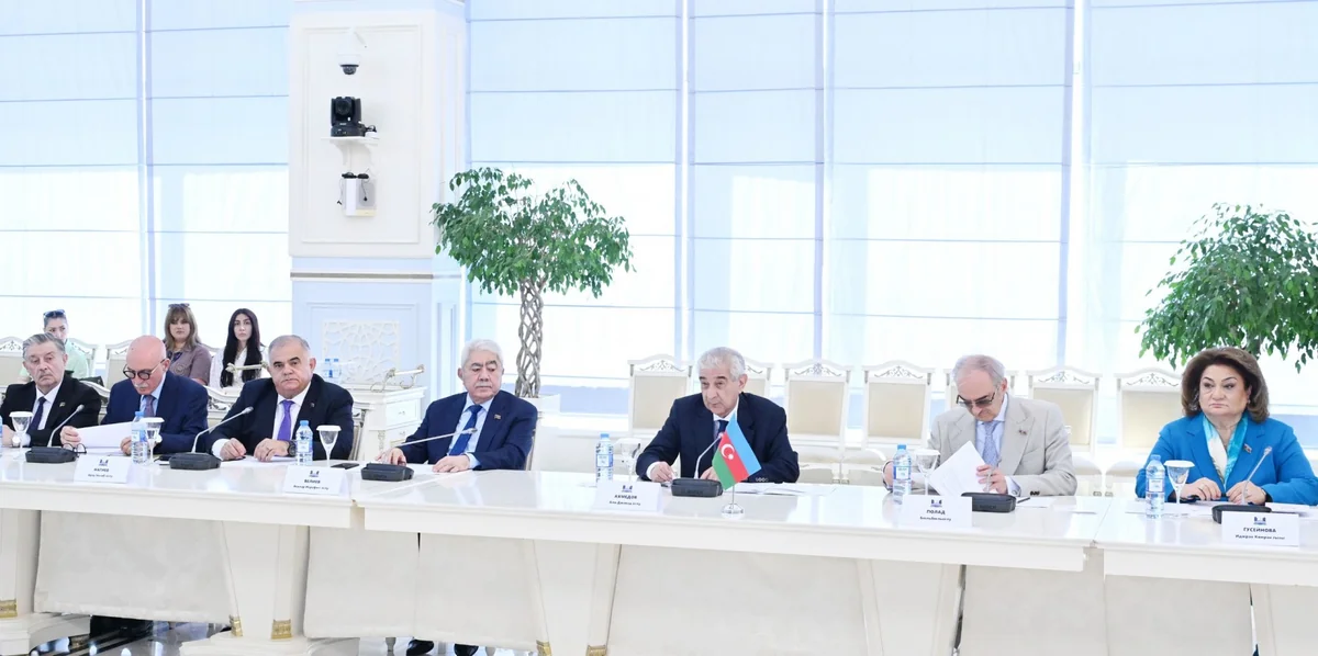 Али Ахмедов: Гуманитарное сотрудничество укрепляет доверие между Азербайджаном и Россией