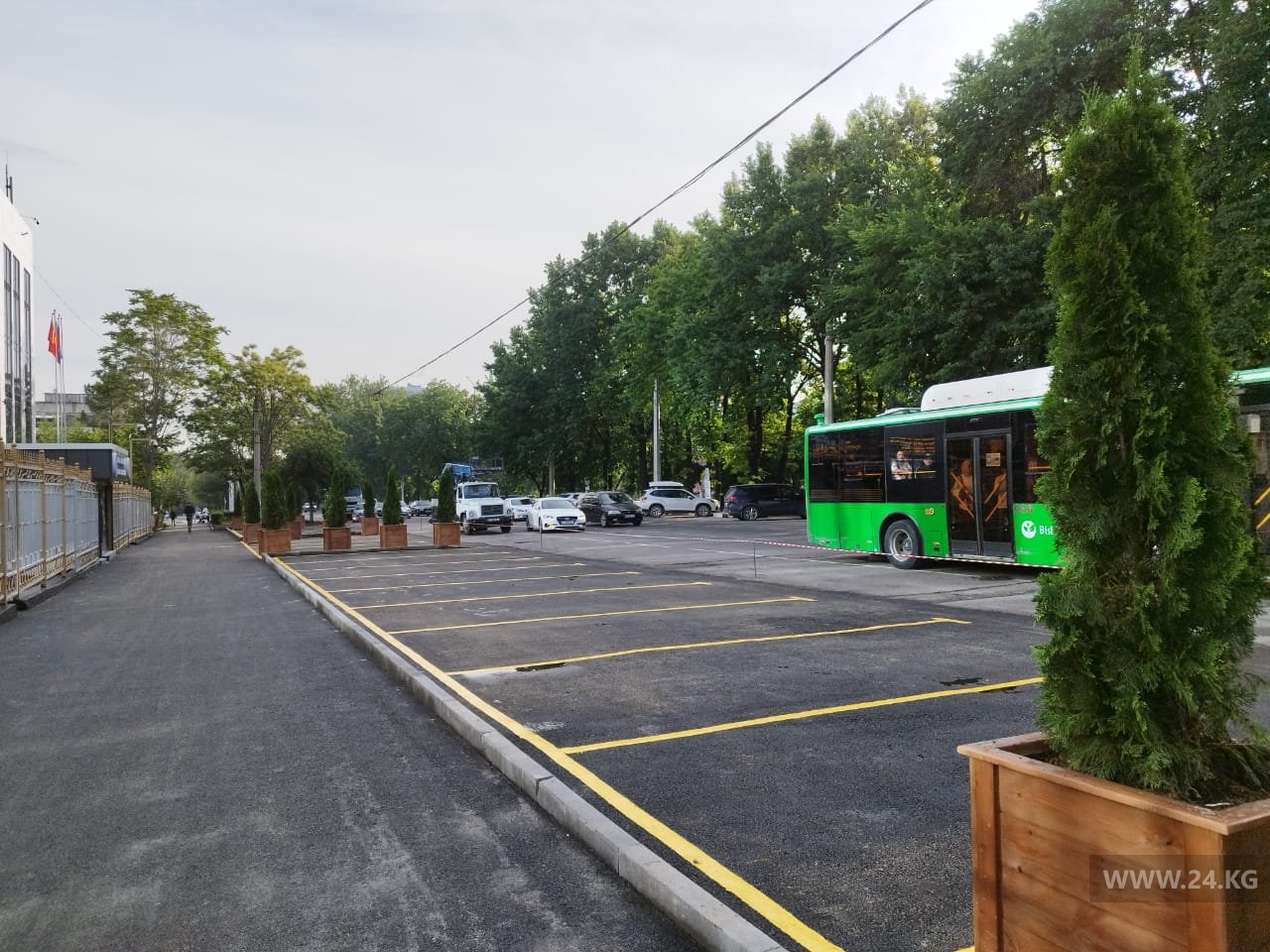 Теперь тут парковка. Снос деревьев на улице Ибраимова оценили в 256 тысяч сомов