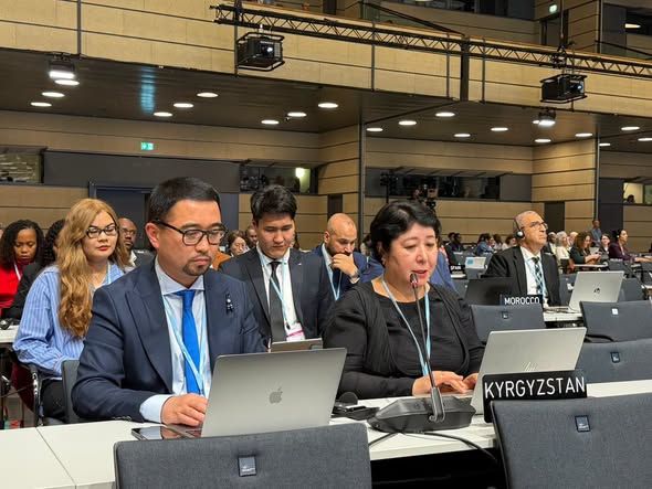 Abramov Glacier in Kyrgyzstan may disappear by 2100, UN climate talks say