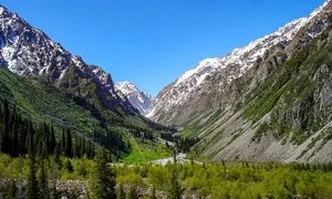 В парке «Ала-Арча» подорожала стоимость входа и въезда электромобилей