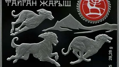 В Кыргызстане ввели в оборот серебряную монету "Тайган жарыш"