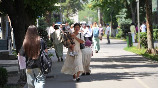 Погода в Бишкеке 29 мая