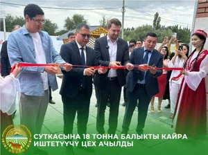 Fish processing complex opened in Sokuluk district