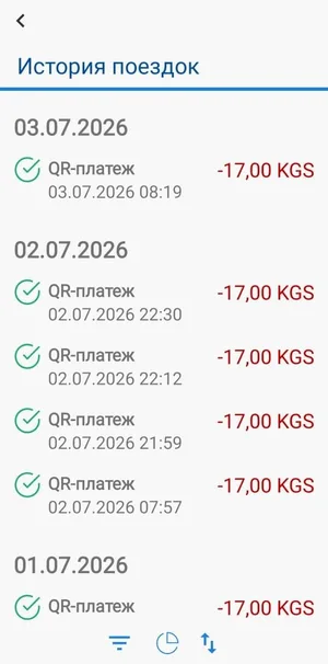 За час оплатила проезд четыре раза: бишкекчанка жалуется на систему в автобусах