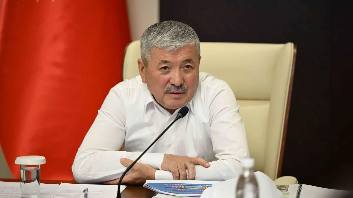 Касымалиев: внешний долг для нас не проблема