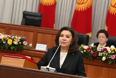 Депутатка Жылдыз Садырбаева снова критикует СПИД Центр